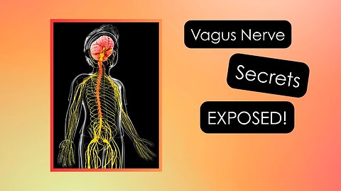 Vagus Nerve Secrets EXPOSED!