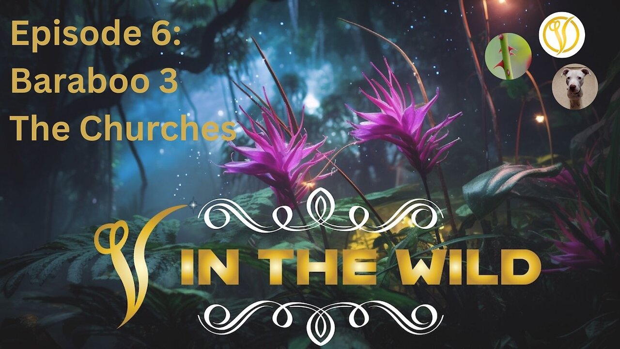 V in the Wild Episode 6 | Baraboo #3 Churches Part 1
