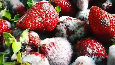 British supermarkets selling rotten and out of date food