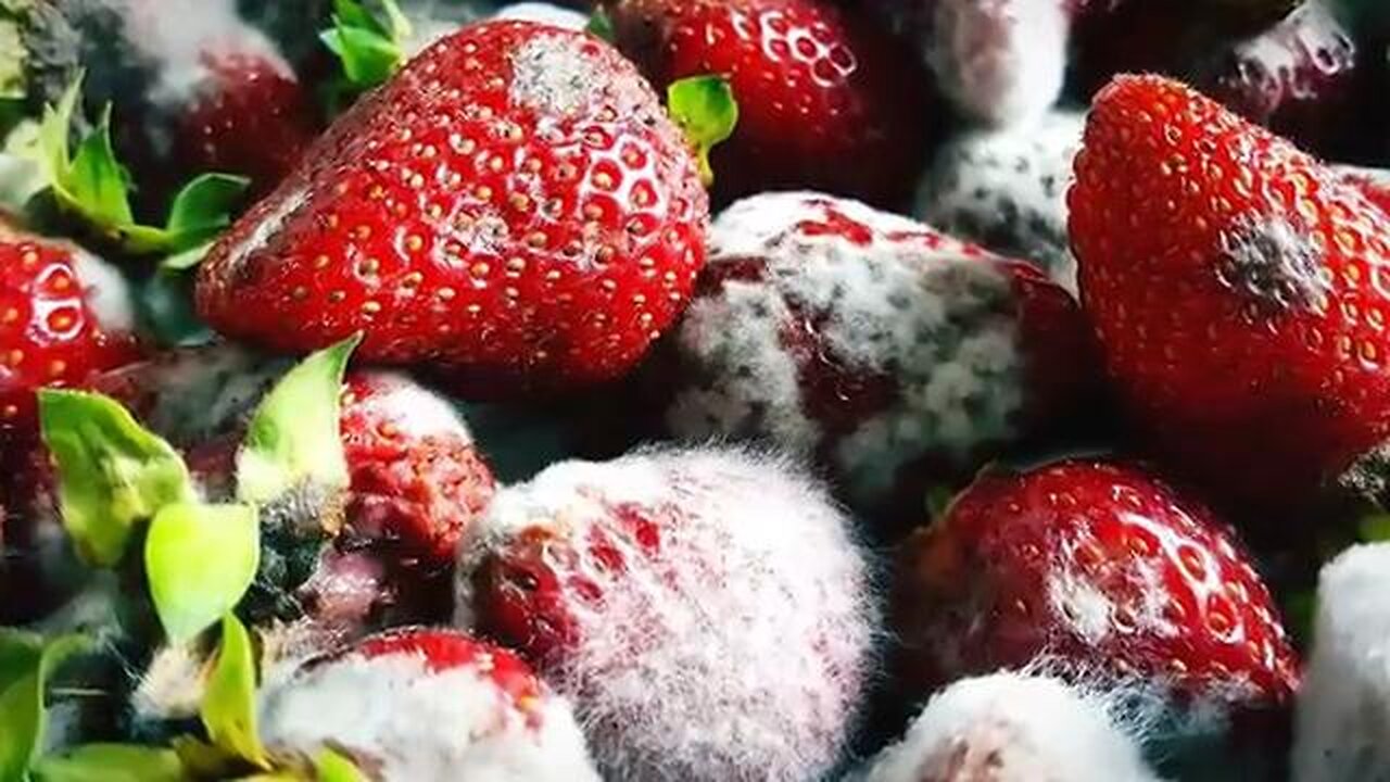 British supermarkets selling rotten and out of date food