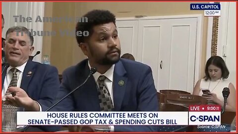 WATCH: Congressional Committee Hearing Explodes into Chaos after Democrat Makes Vile Comments