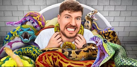 Would You Sit in Snakes for $10000