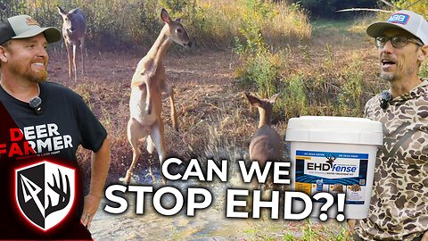 Can We Stop EHD?