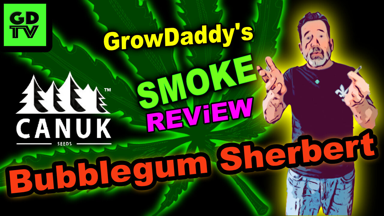 GDTV Smoke Review: "Ruby" - Bubblegum Sherbert from Canuk Seeds (Season 8)
