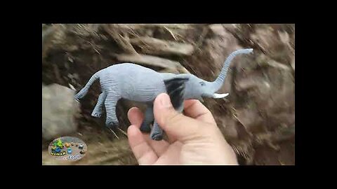 Mencari mainan hewan kerbau, kambing, singa, kuda, gajah dan dinosaurus