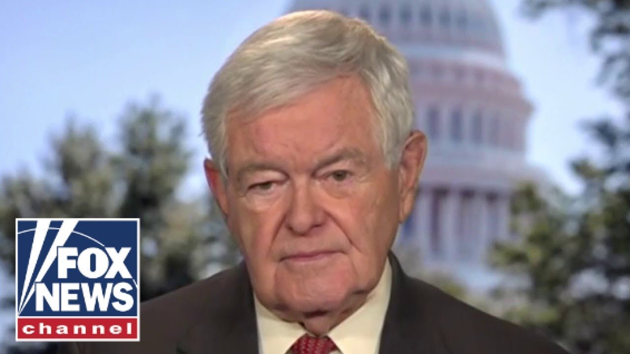 Gingrich sounds alarm: 'This is a judicial coup d'etat'