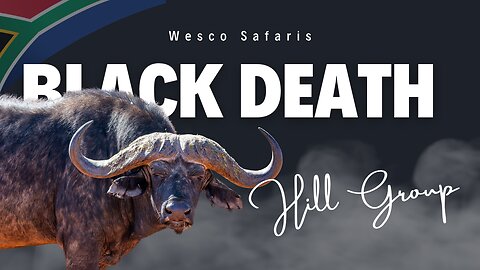 Hunting in South Africa, from Cape buffalo to plains game.