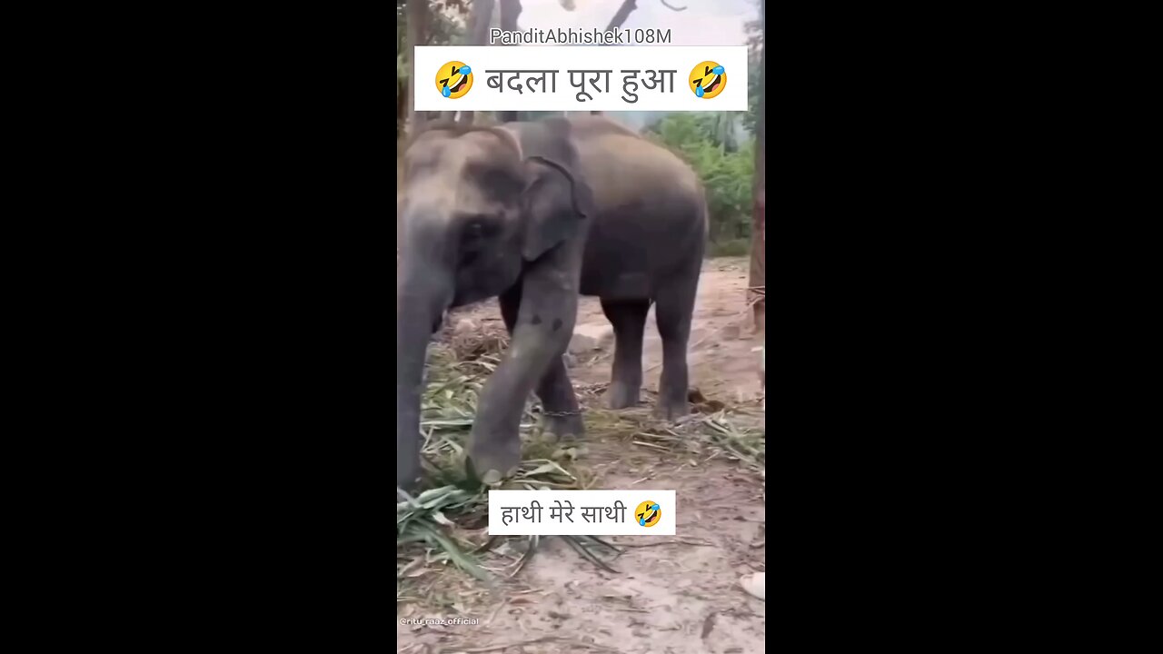 बदला पूरा हुआ 🤣
