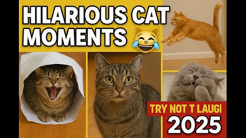 Cats funny Videos | Most funny videos | Try Not to Laugh | Funny Cats 2025 Compilation
