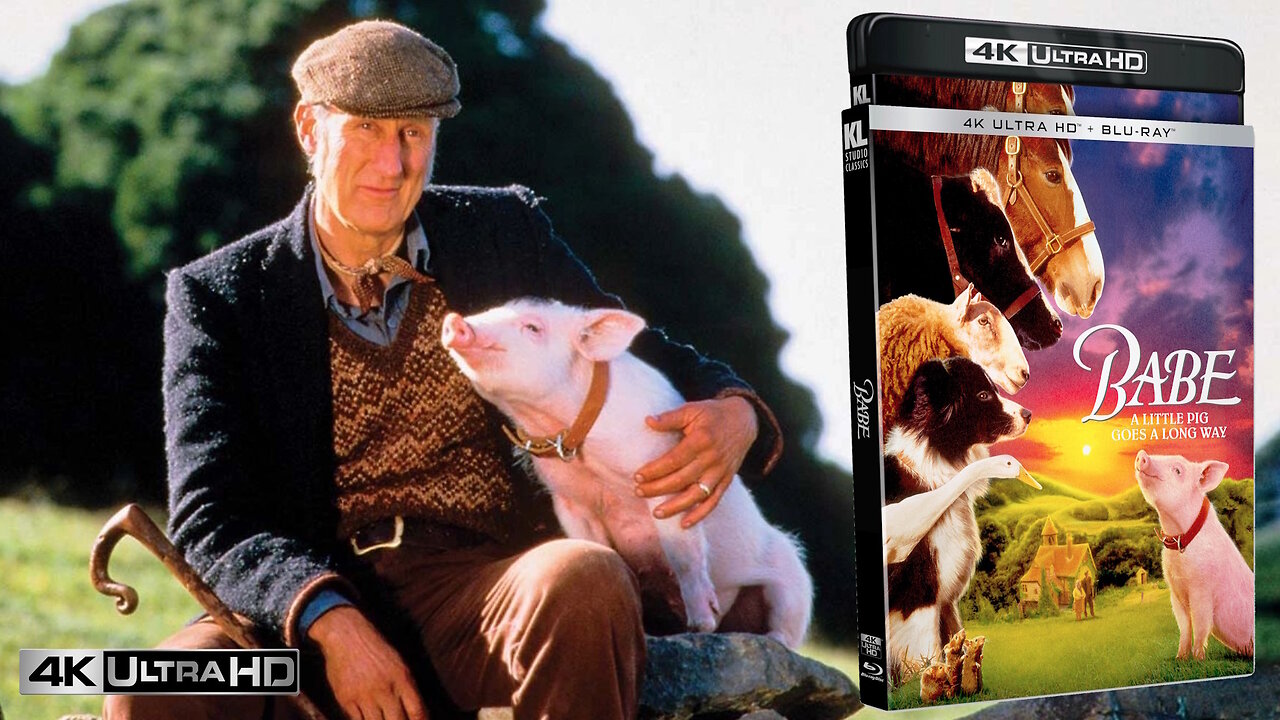 Babe [KL Classics 4K UHD & Blu-ray]