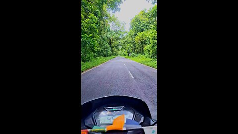 Serene Forest Riding | Bike Through Natre’s Beauty 🌲