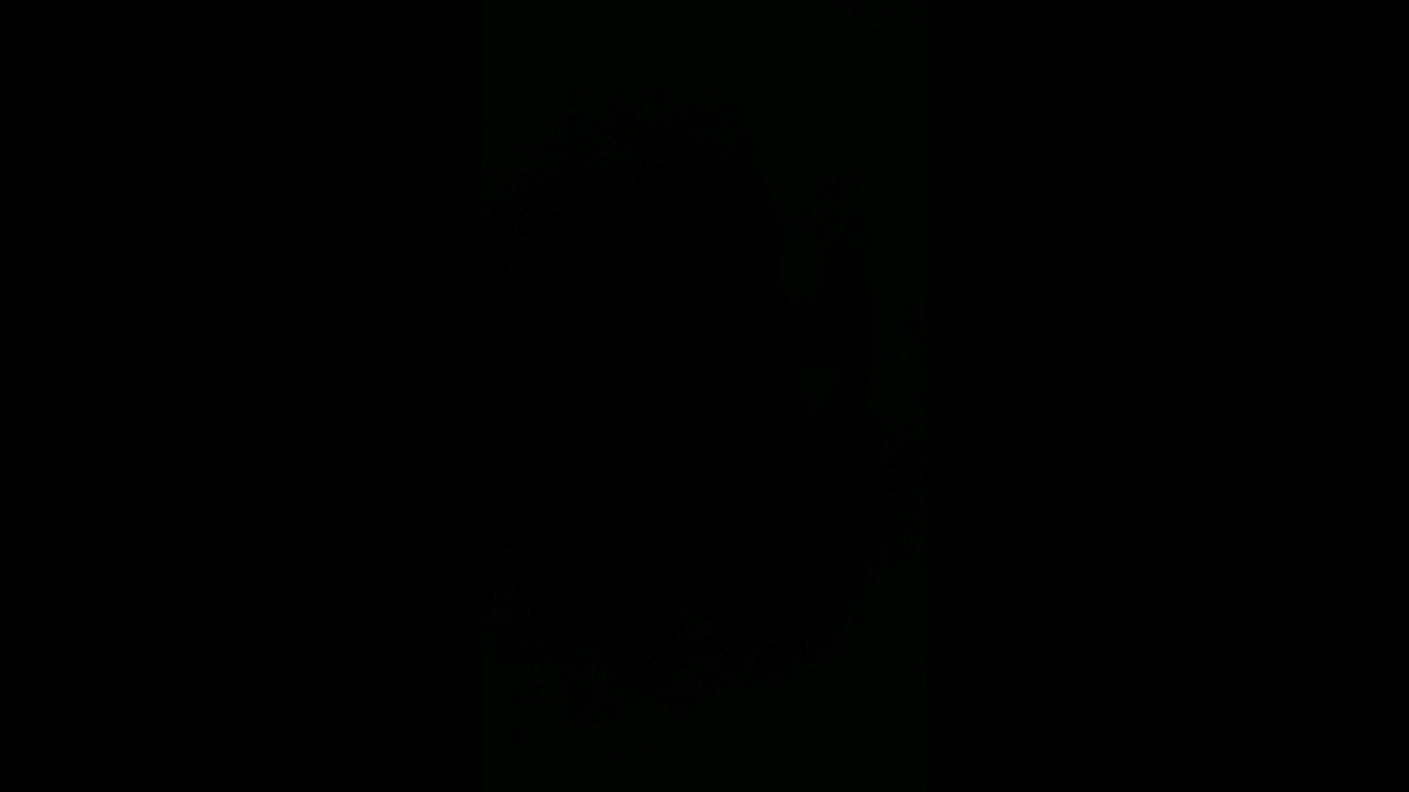 Hippie Sabotage Live