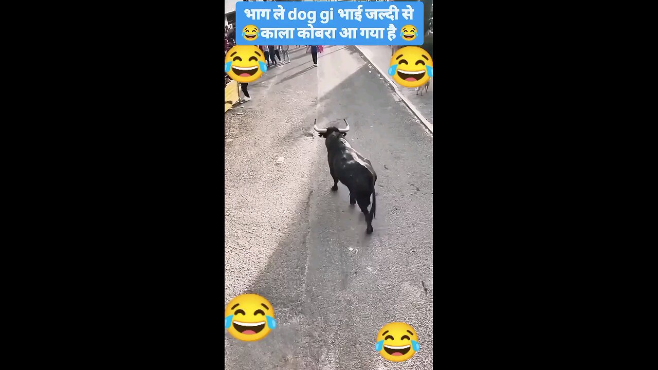 satisfying Video