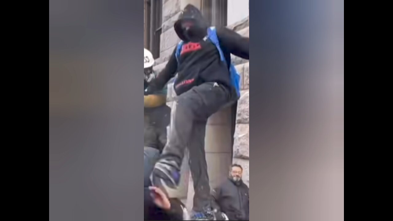 Jake Lang - Perp Search