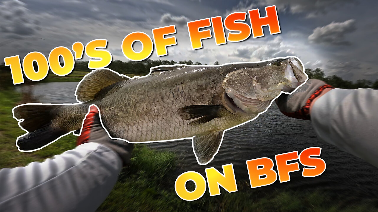 Can BFS Handle Fishing For Barramundi (Rare Fish In US)