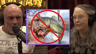 Joe Rogan & Caroline Fraser: The Dangers of Eating Freshwater Fish