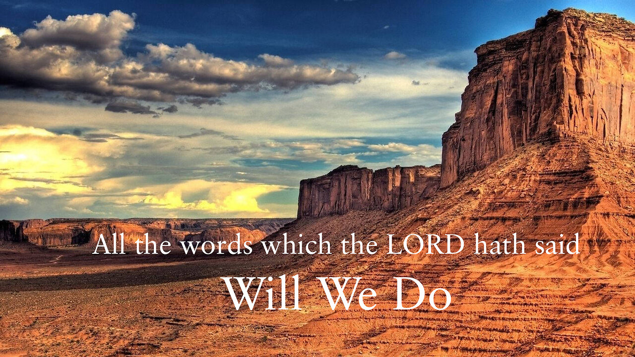 All the words which the LORD hath said will we do