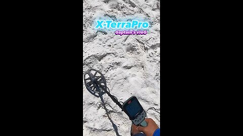 Beach Clean Up Metal Detecting Minelab X-TerraPro
