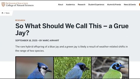 New Bird Species? (Species vs. biblical kind)