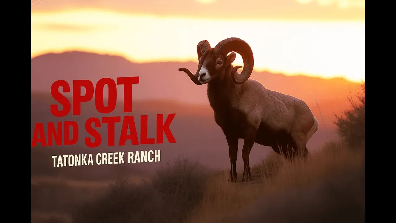 Stalking Rams: The Ultimate Hunting Adventure