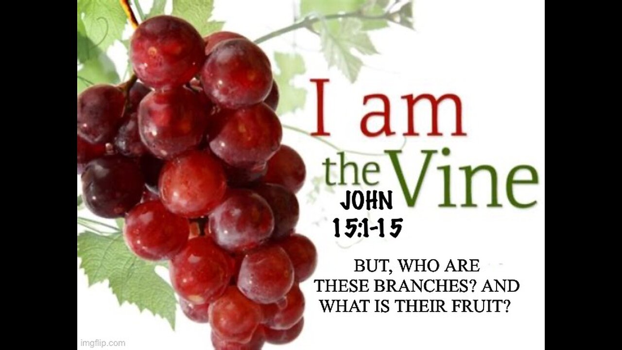 JOHN 15- THE FRUIT OF THE VINE