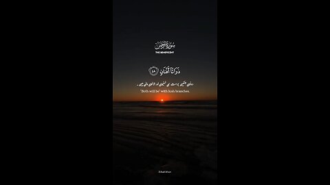 Beautiful recitation of Quran ❤️(Heart ❤️ Touching)