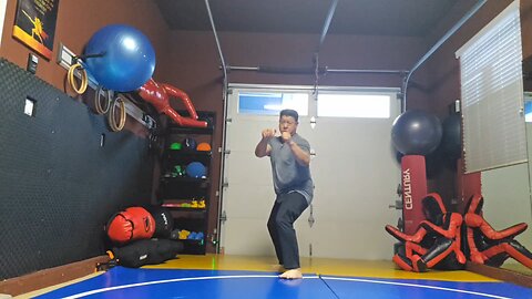 WTD 2 Step Kick Combination 151