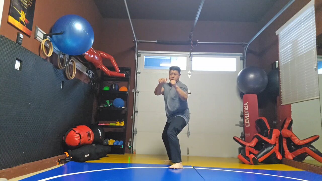 WTD 2 Step Kick Combination 151