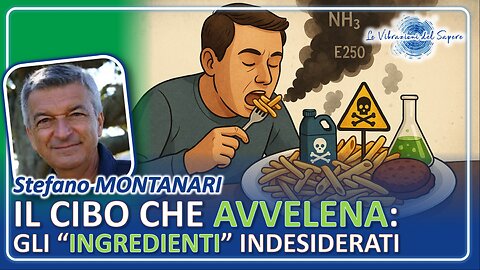 Il cibo che avvelena: Gli "ingredienti" indesiderati - Stefano Montanari
