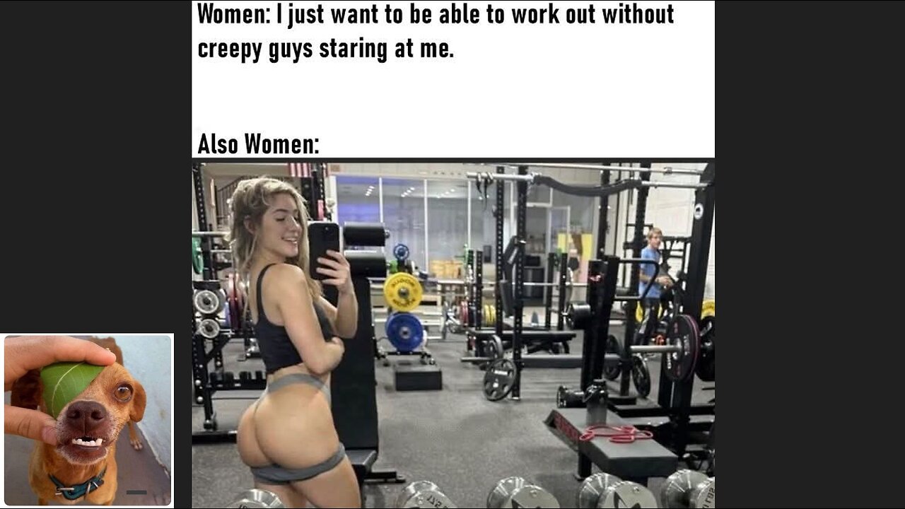 Memes That Will 99.0275% Make You Laugh. (e499)