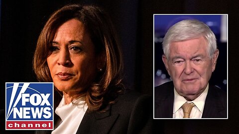 Newt Gingrich: She acts like a 'SPOILED BRAT'