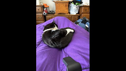 She looks so human this way and so human!