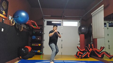 WTD 2 Step Kick Combination 106