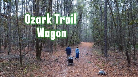 My Bugout Cart/Wagon