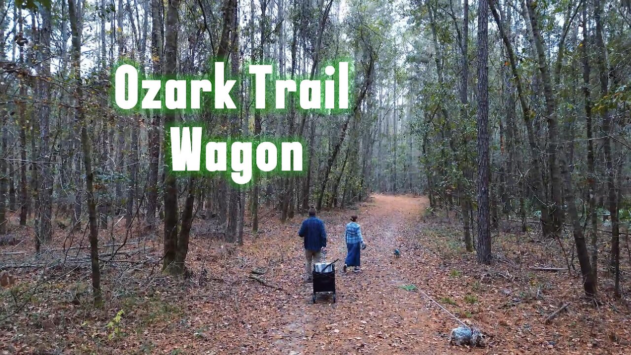 My Bugout Cart/Wagon