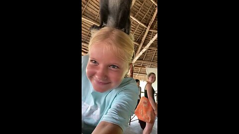 my play monkey