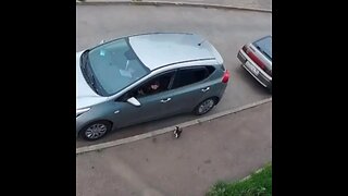 Un gatito persigue a una mujer y la retrasa al trabajo
