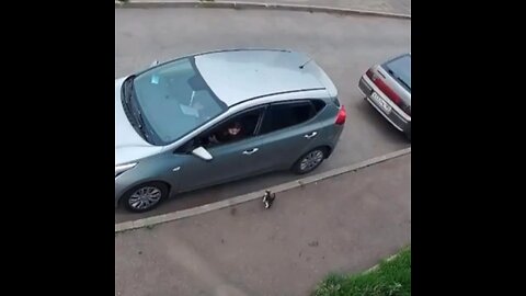 Un gatito persigue a una mujer y la retrasa al trabajo