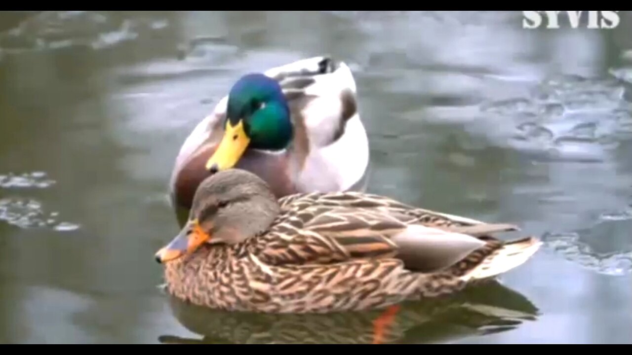 WHEN IT'S WISE TO WAIT - DAILY DEVOTIONAL ❤️