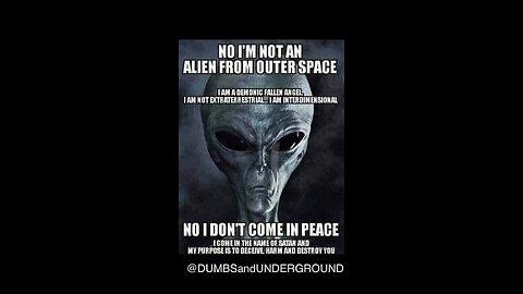 Back down rabbit hole