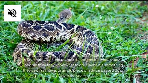 "Unveiling the Truth: Effective and Ineffective Treatments for Snakebites"