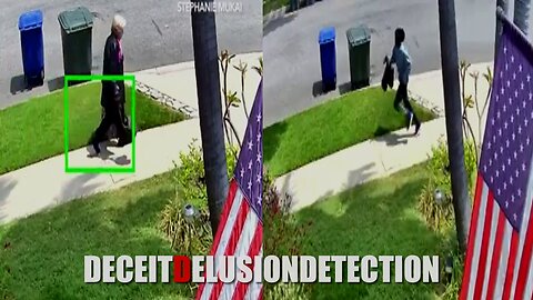 An elderly white woman was attacked and robbed by a black juvenile in Lakewood