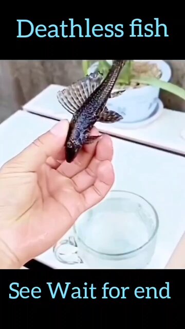 Deathless fish