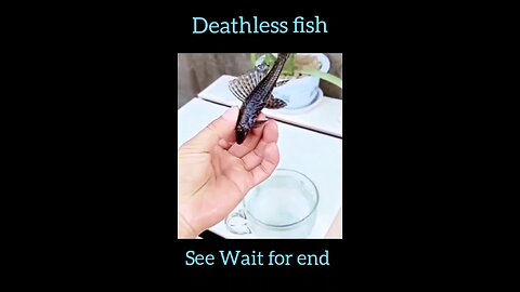 Deathless fish
