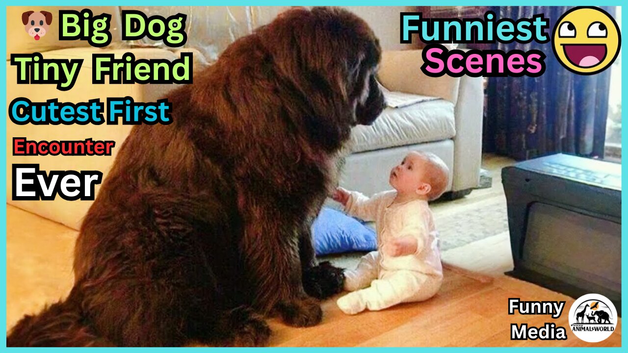 🐶 Big Dog , Tiny Friend – The Cutest First Encounter Ever ! 💞