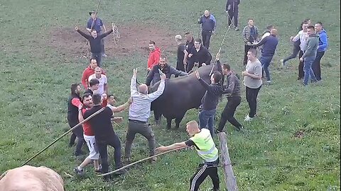 Kondor od Šašana vs Bukadžija od Rađe