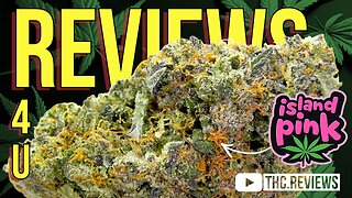 ISLAND PINK REVIEW | REVIEWS 4 U