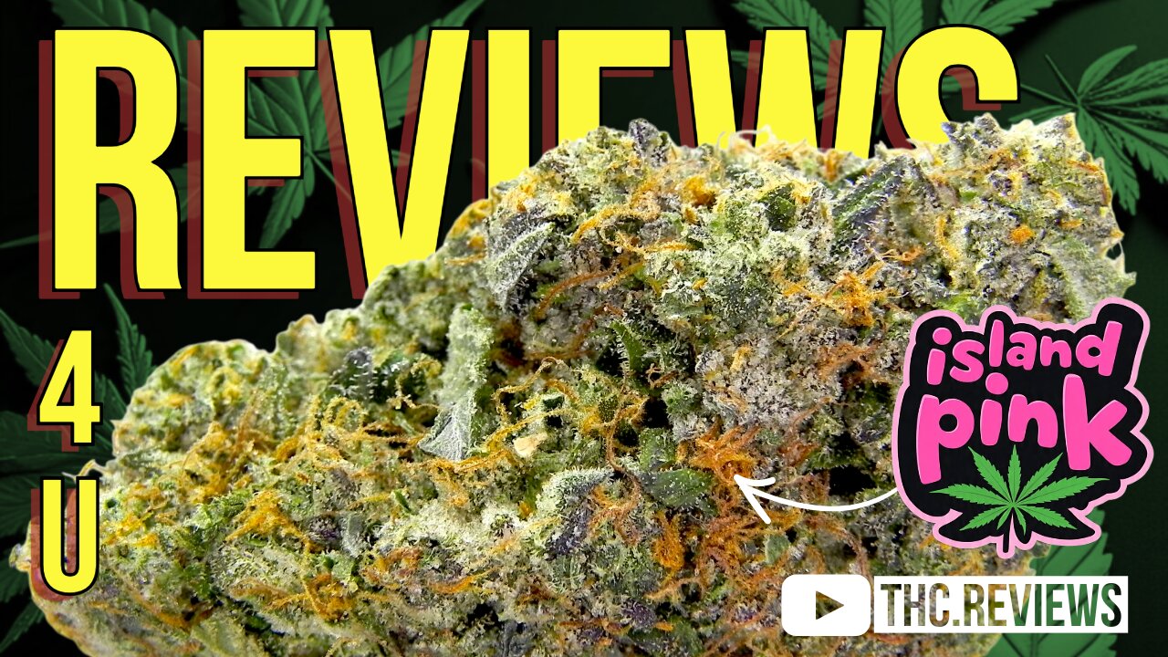 ISLAND PINK REVIEW | REVIEWS 4 U