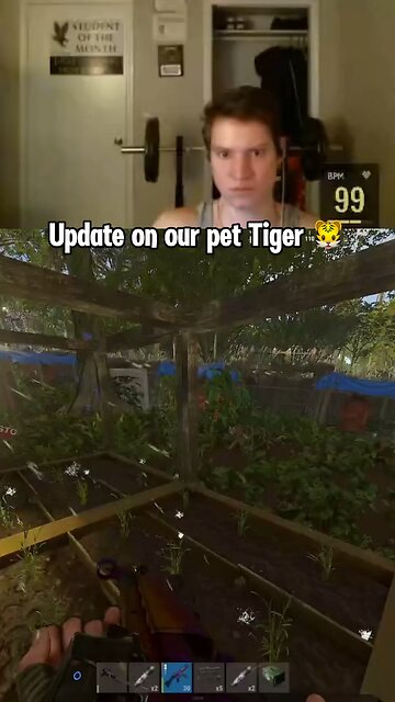 update on our pet tiger in Rust