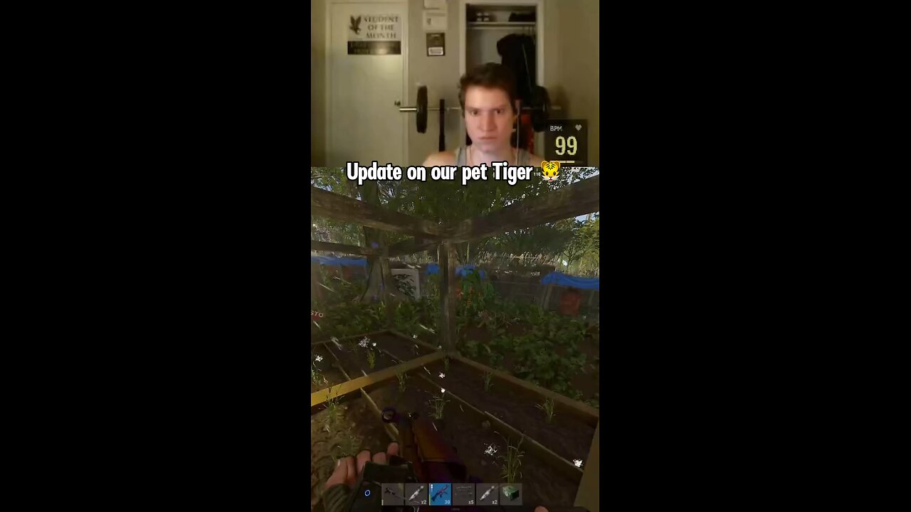 update on our pet tiger in Rust